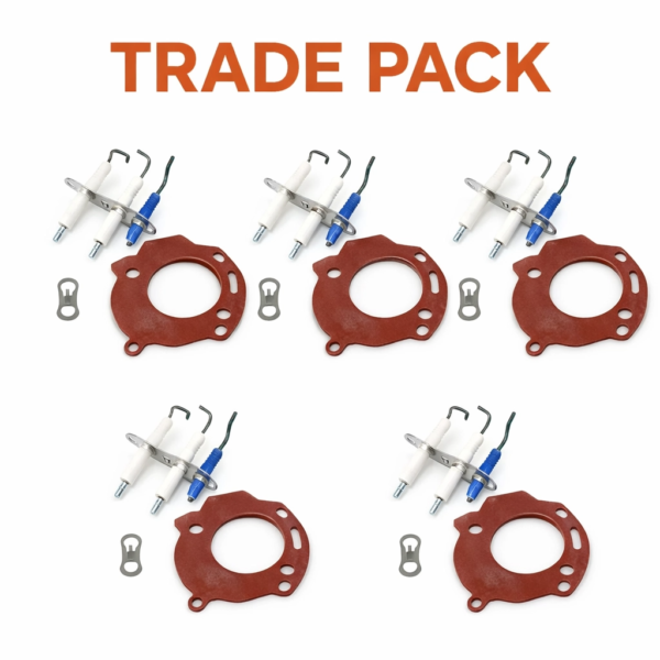 BSL Trade Pack Service Kit For Worcester Greenstar- Electrodes 87161163810